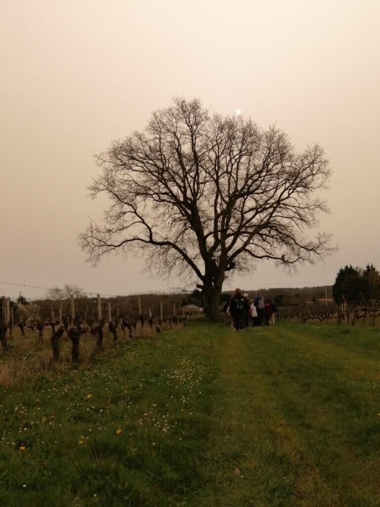 LEUR DERNIÈRE RANDONNÉE