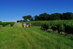 Marches-douces-du-mardi-10