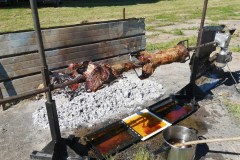 IMG_20240511_110855