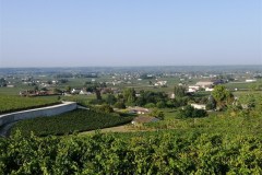 ST-EMILION-23