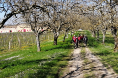 ST-GERMAIN-3